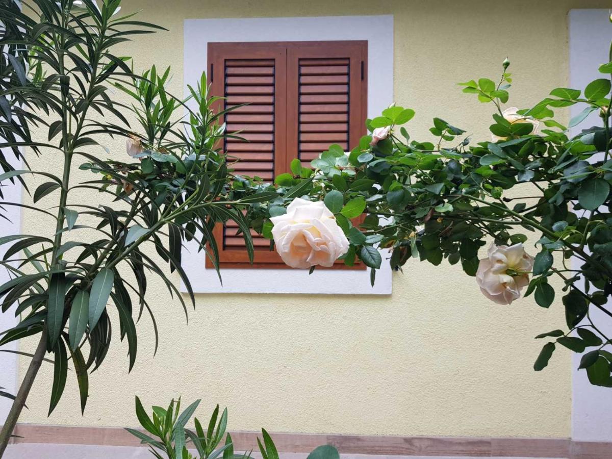 רייקה Apartmani Rosa I Linda מראה חיצוני תמונה